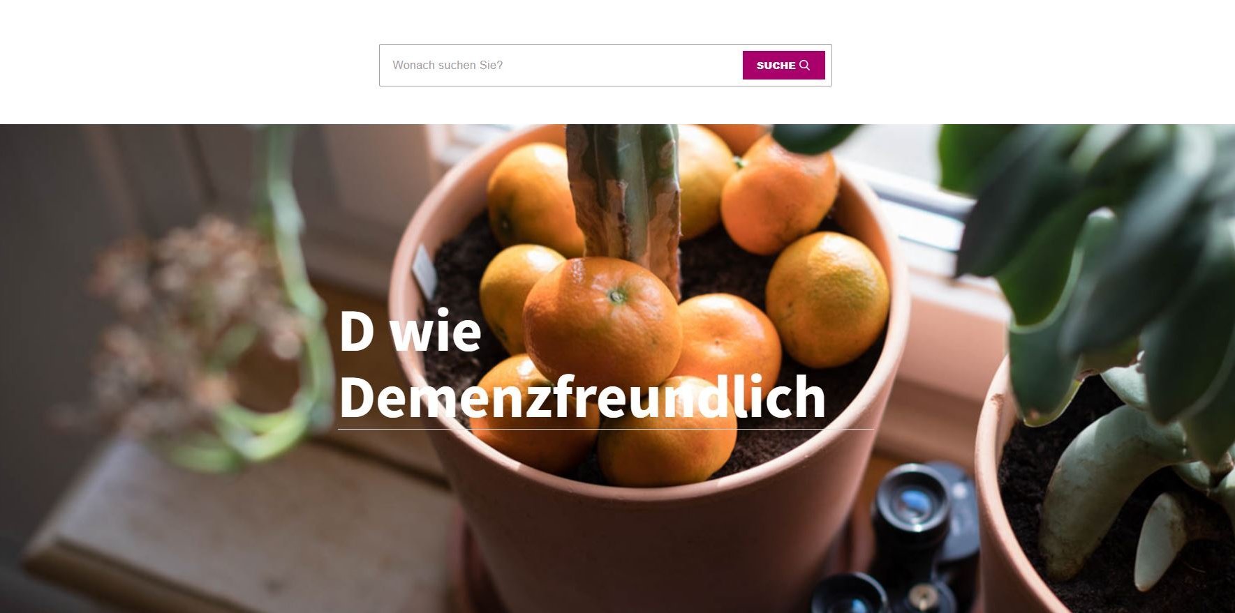 Mandarinen in Blumentopf mit Kaktus; Beschriftung: D wie demenzfreundlich Mandarinen in Blumentopf mit Kaktus; Beschriftung: D wie demenzfreundlich